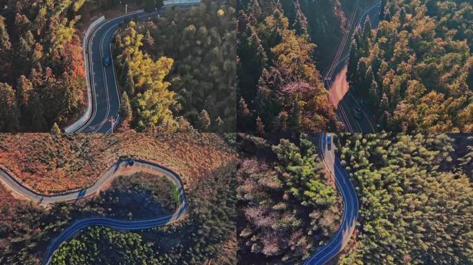 航拍汽车行驶在森林公路