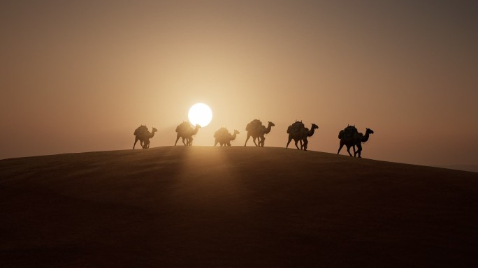 4K黄昏 沙漠 骆驼7
