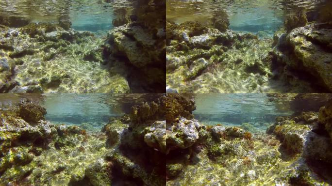 浅水水下岩礁浮雕，自然水下景观，慢动作