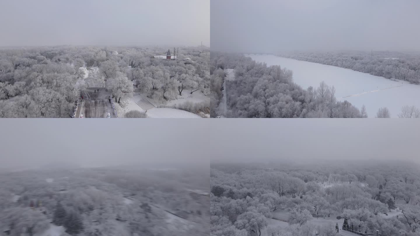 4k太阳岛雪景雾凇景观雪景哈尔滨