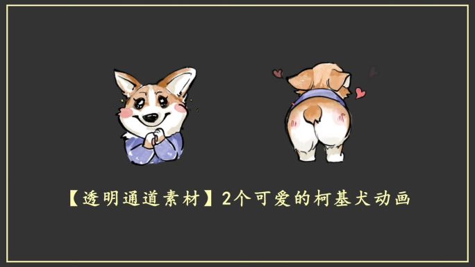 【透明通道素材】2个可爱的柯基犬动画
