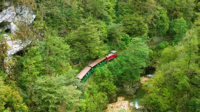 一列载着游客的旅游火车沿着窄轨铁路穿过长满绿色森林的山峡。从上面看