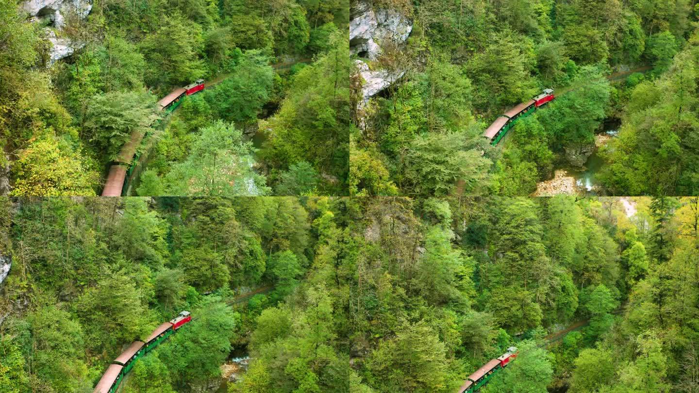 一列载着游客的旅游火车沿着窄轨铁路穿过长满绿色森林的山峡。从上面看