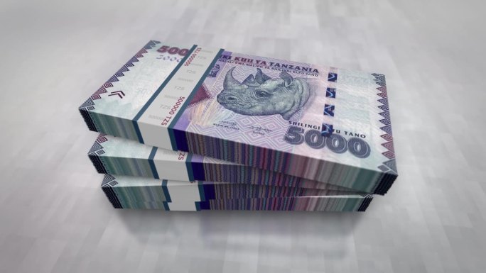 坦桑尼亚先令钞票堆包动画