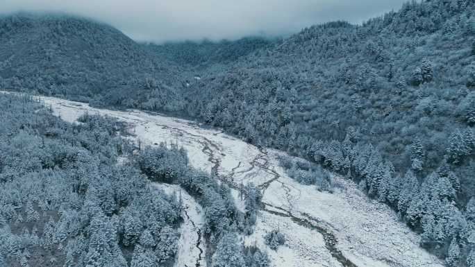 冰雪河谷 河谷冰川 冰雪森林