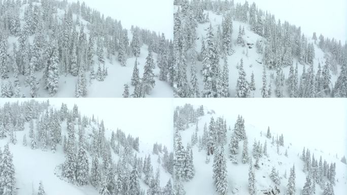 电影航拍科罗拉多冬春深粉雪雪覆盖的树木洛夫兰滑雪胜地艾森豪威尔隧道库恩山偏远地区1970沉重的大陆分