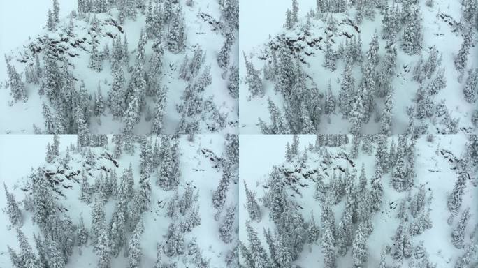 深粉雪电影航拍科罗拉多洛夫兰滑雪场艾森豪威尔隧道库恩山偏远地区1970年冬春大雪大陆分水岭落基山脉盘