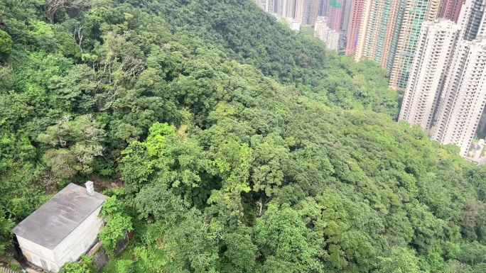 香港太平山顶俯瞰