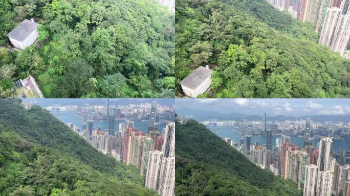 香港太平山顶俯瞰