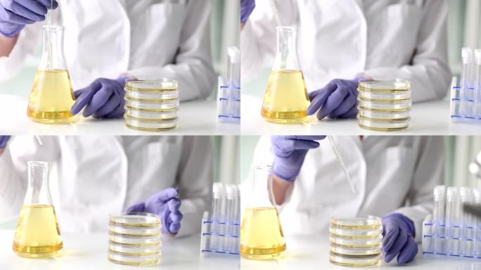 一滴油从烧瓶滴到化学实验室的培养皿中