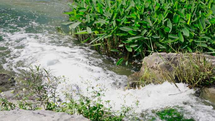 管网治理河道治理那考河湿地公园 黑嗅水体