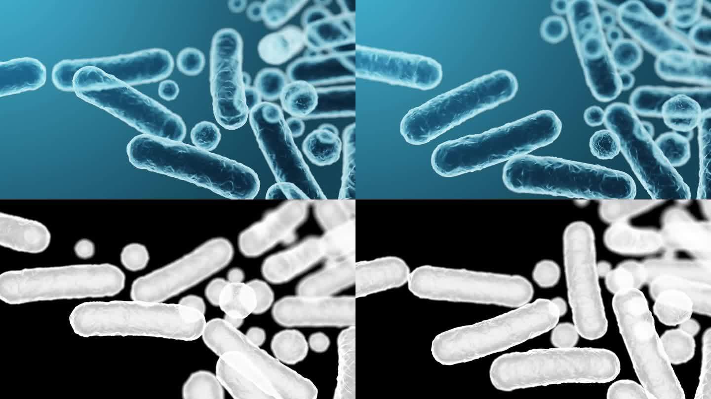肠杆菌科，革兰氏阴性杆状菌，部分肠道菌群和不同感染的病原体，3D渲染。大肠杆菌、克雷伯氏菌、肠杆菌等