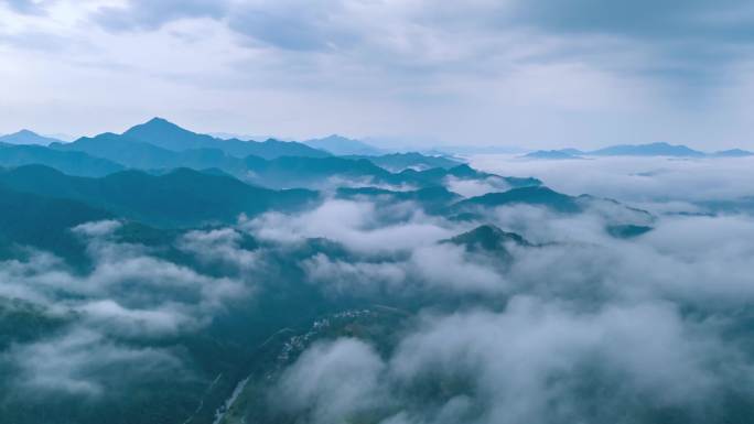 云海茶山茶园茶庄高山茶梯田