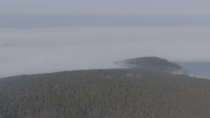 航拍威海双岛湾帽角大岛冬季平流雾
