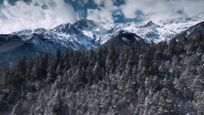 雪山 森林 冬季川西美景 雪域高原 大气