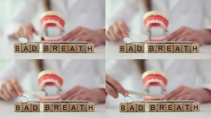 牙医刷牙的人造下颌模型和说口臭