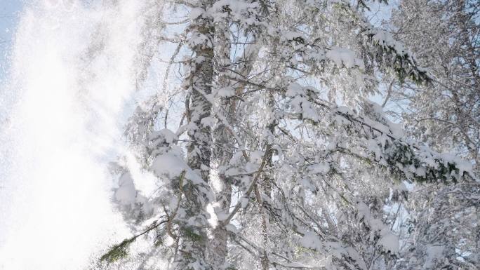 东北的冬 雪花飘飘