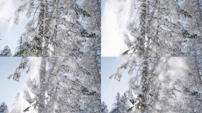 东北的冬 雪花飘飘