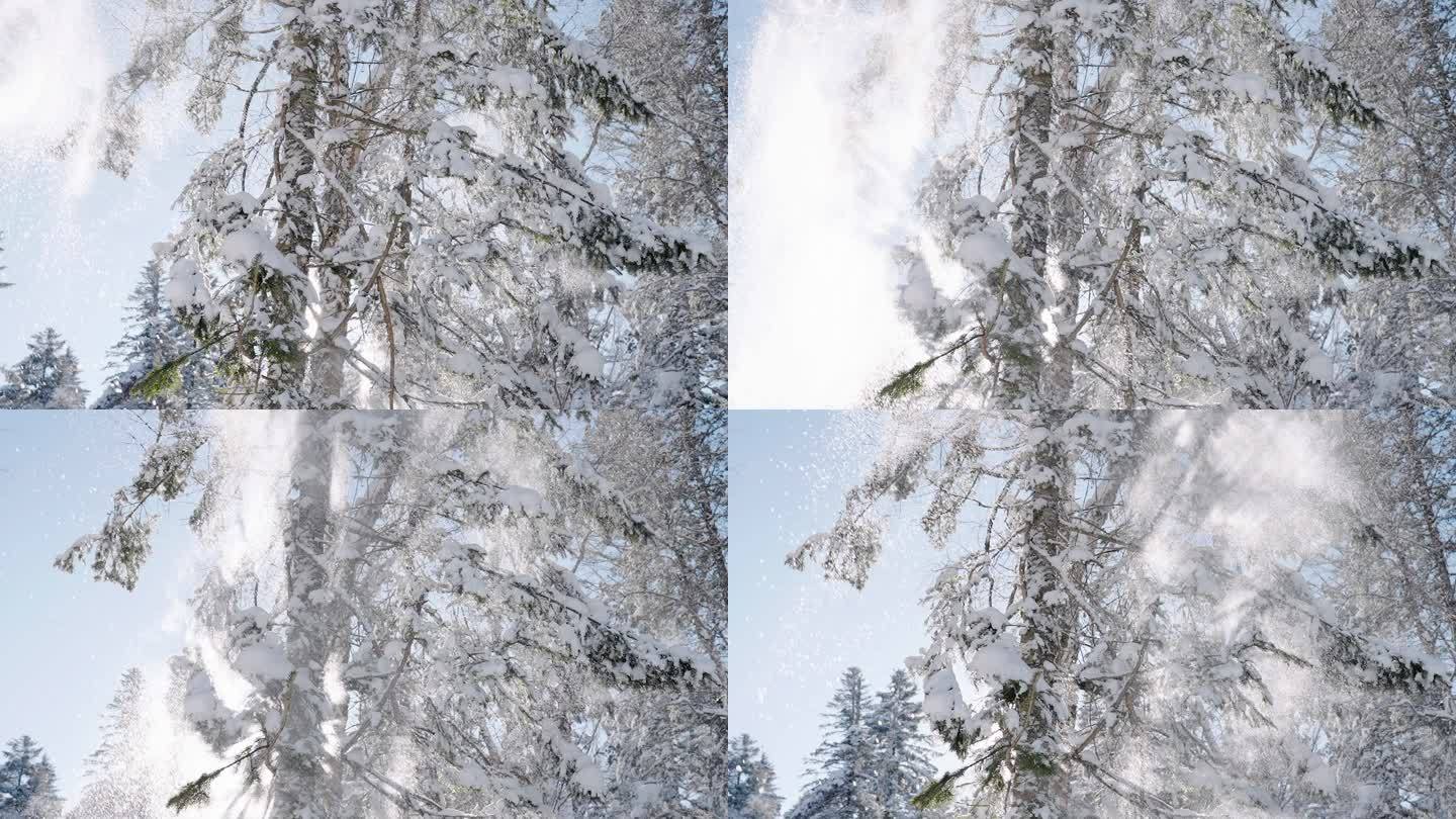 东北的冬 雪花飘飘