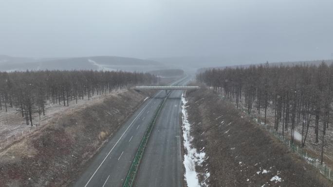 风雪中大兴安岭林区高速公路上行驶的汽车