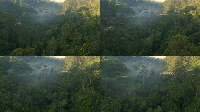 在雾蒙蒙的早晨，无人机在树林中拍摄了9个拱门桥，这是斯里兰卡的黄金时间