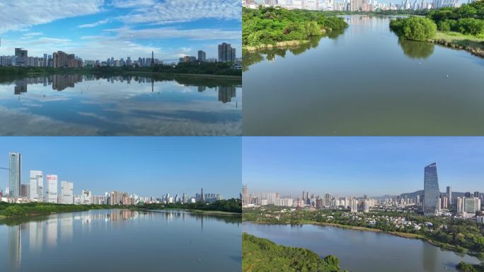 4K深圳华侨城湿地公园航拍合集