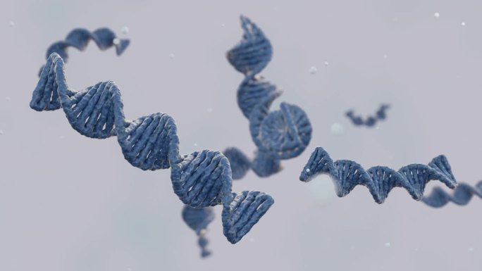 一个旋转和旋转的DNA螺旋分散在3D动画中