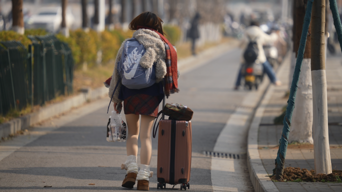寒假离校返程回家的大学生推行李箱背影