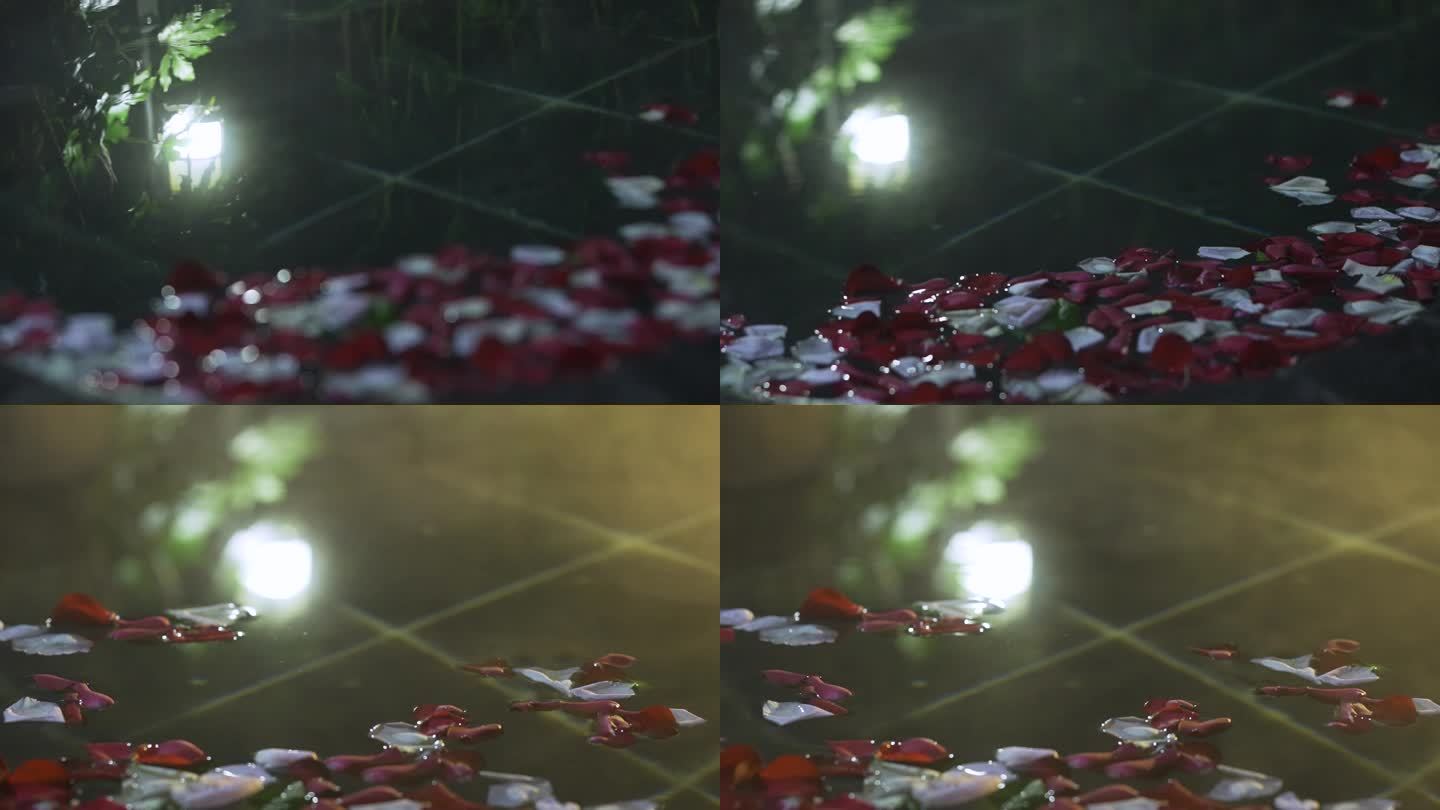 泡温泉花瓣空镜2