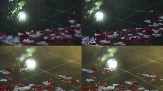 泡温泉花瓣空镜2