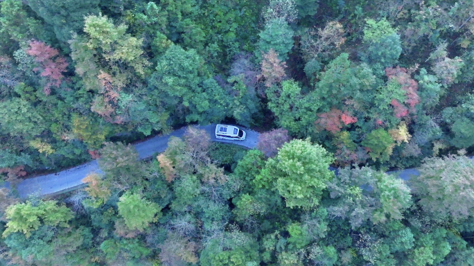 航拍旅游房车行驶在森林山路上