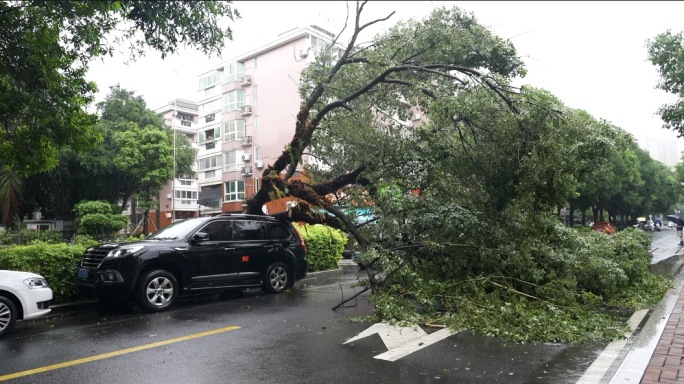 台风 内涝 交通 福州 积水 抢险