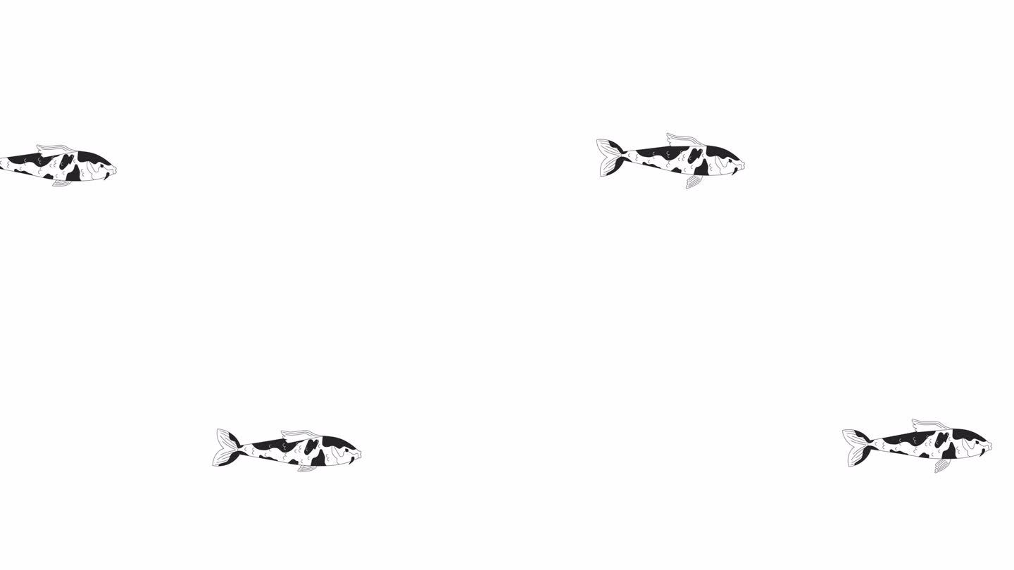 锦鲤游泳的2D人物动画大纲