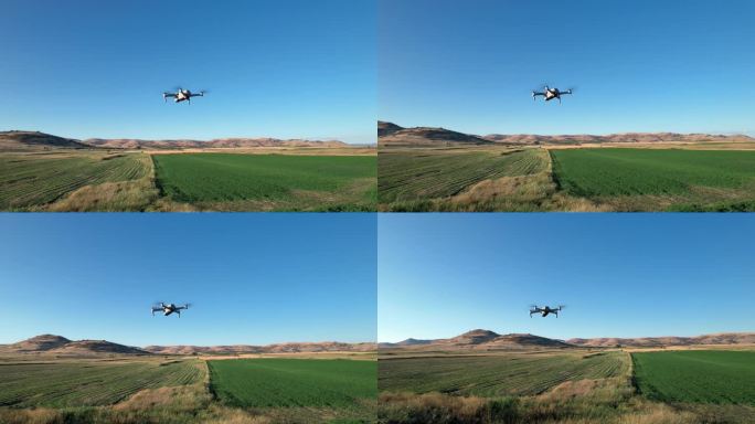 无人机在日落和日出时分析农田。用于研究分析、安全、救援、地形扫描技术、监测土壤水化、产量问题等各个领