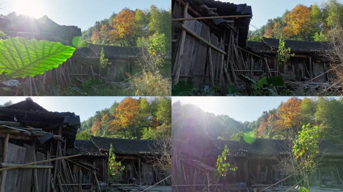 山村荒废的木房子