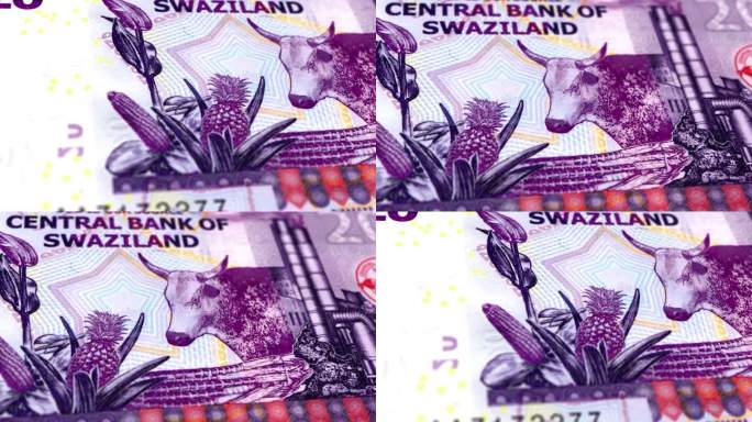 Eswatini Swazi Lilangeni 20钞票，20斯威士兰Lilangeni，斯威士兰