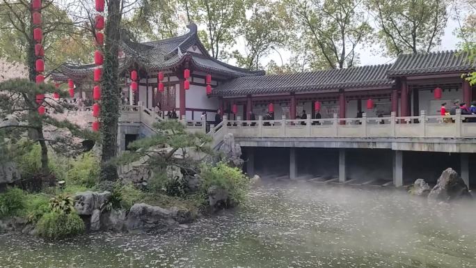 武汉东湖樱花园风景池塘景观