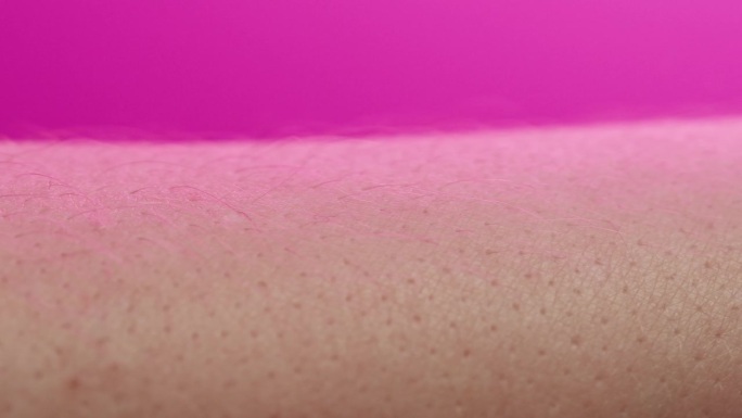 手部皮肤在粉色霓虹灯下，人体部位和紫外线，手臂表面微距拍摄。