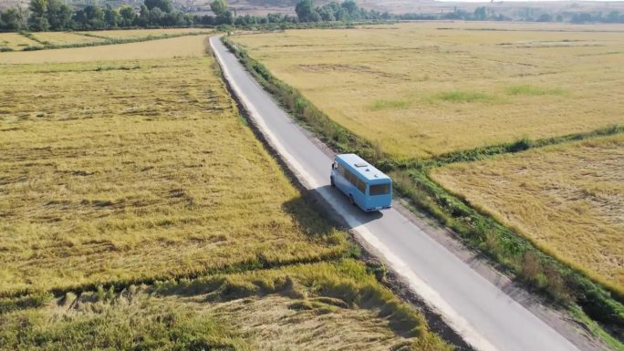 鸟瞰图老式巴士行驶在蜿蜒的道路上，穿过农业小麦、水稻、黑麦田在农村