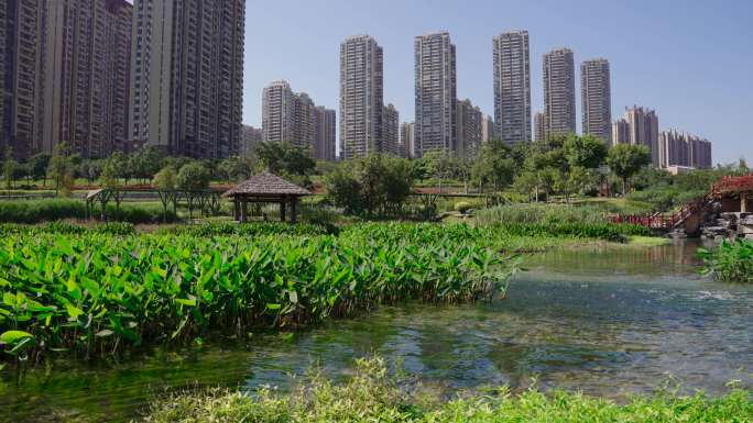 南宁那考河湿地公园 黑臭河道治理城市河道