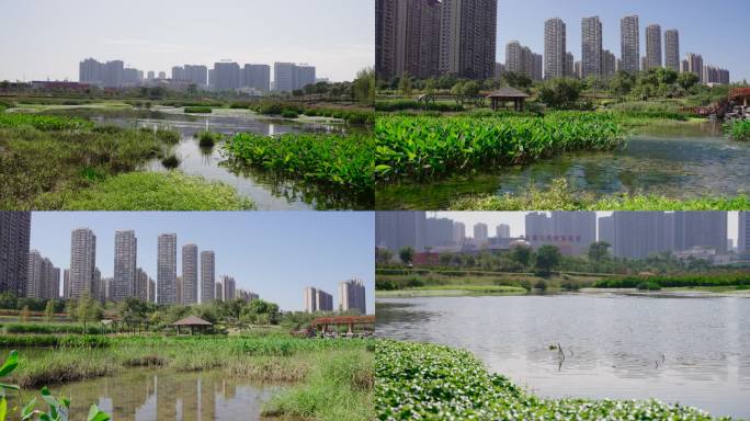 南宁那考河湿地公园 黑臭河道治理城市河道