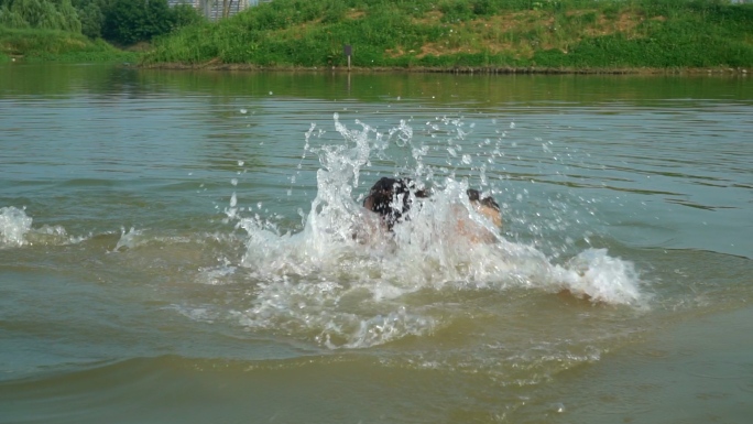 溺水失足落水水中呼救水中救援心肺复苏