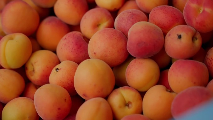 大自然丰富的多汁核果，充满了花蜜和潜力，以桃子、油桃和杏子的形式向我们招手，让我们感到多汁的满足，这