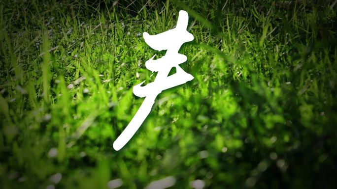 春手写字草地背景