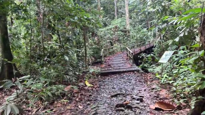 雨林探索中心。山打根也是马来西亚沙巴州的第二大城镇。山打根被称为自然之城，游客有机会探索野生动物保护