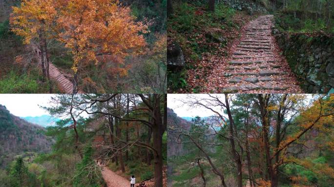 天台山秋天的，南黄古道