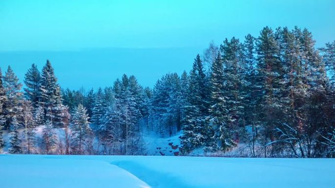 从白天到黑夜的冬季仙境时间间隔。《冬王纪事》雪落。风。电影的颜色。平滑平移视频美丽的森林景观和雪地