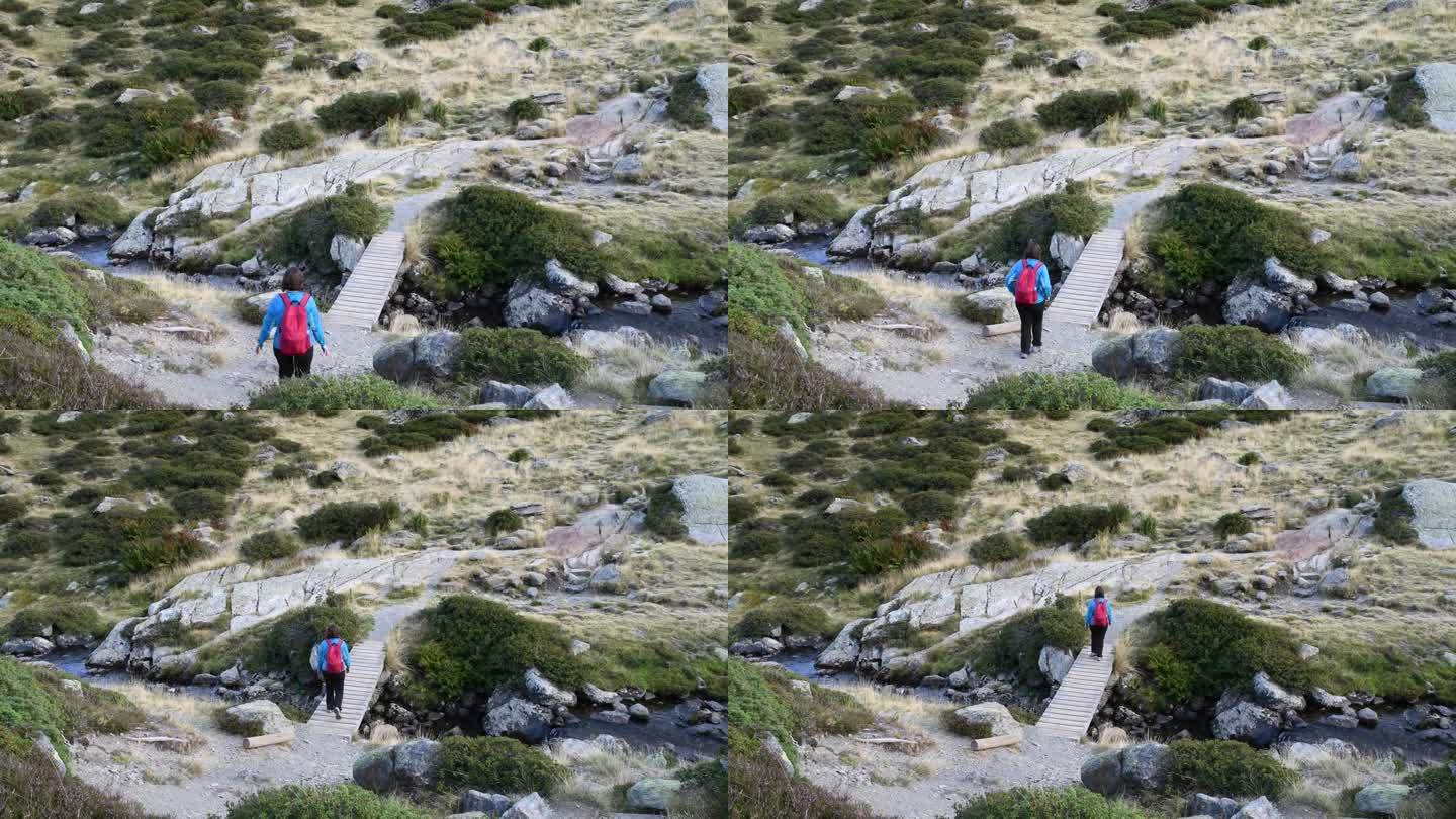 在安道尔山区徒步旅行时，穿着运动服的曲线美的年轻女孩在木桥上过河