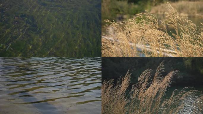 秋水秋色宁静河流水面波浪波纹秋风吹拂