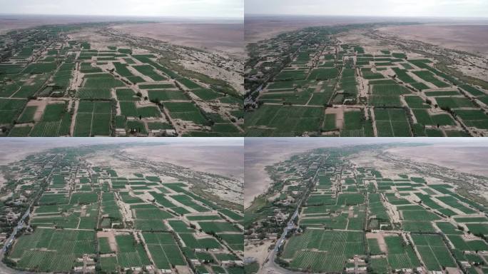 新疆哈密：航拍哈密瓜原产地核心种植区